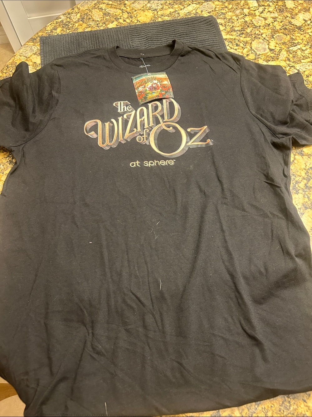 The Wizard of Oz Black mens Graphic Tee